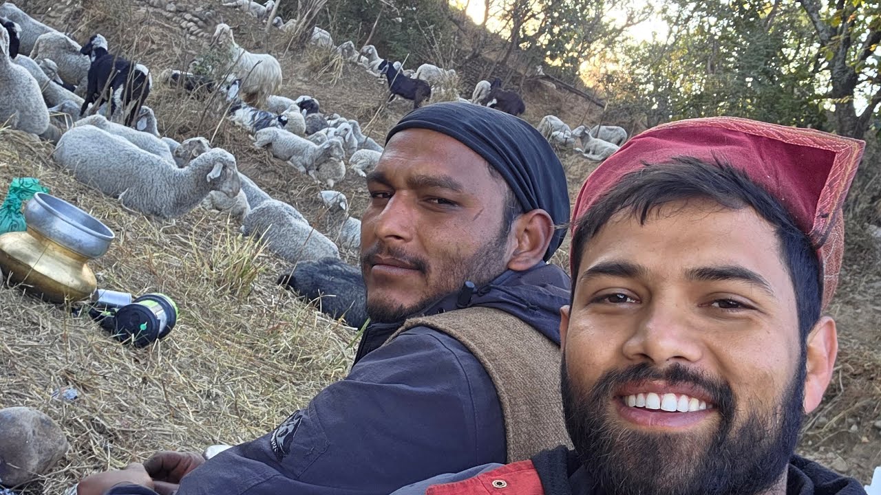 हमीरपुर के जंगलों में तिलकु भाई का डेरा देखों पहाड़ी लोगों का जीवन। 