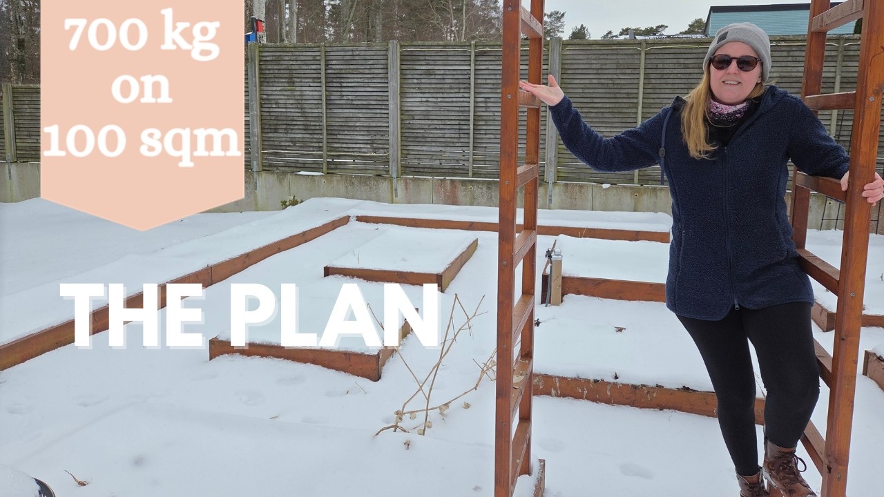 HOW we plan to grow 700 kg of food on just 100 sqm