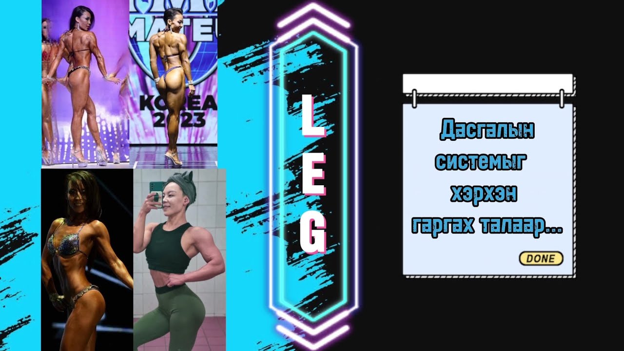 Routine#4Хөлний дасгалын төлөвлөгөөг хэрхэн гарвал үр дүнтэй байдаг вэ? Quad focused (knee-dominant)