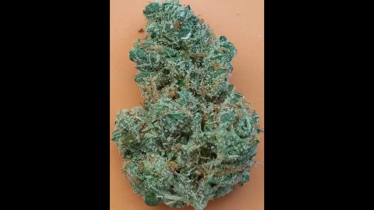 Chemdawg by Alternative Solutions Review
