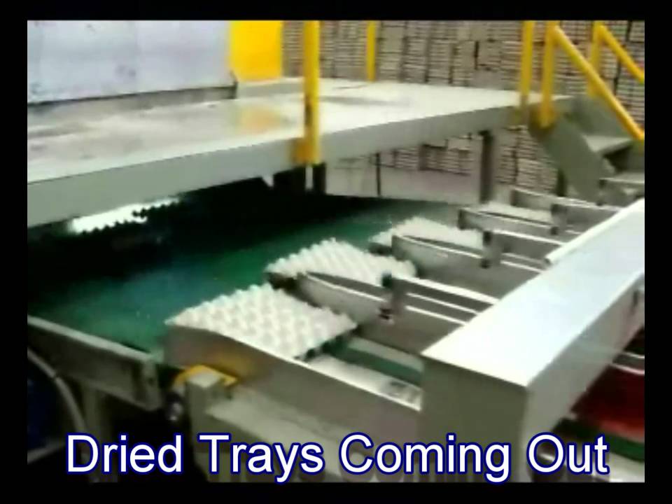 Egg Carton Machine