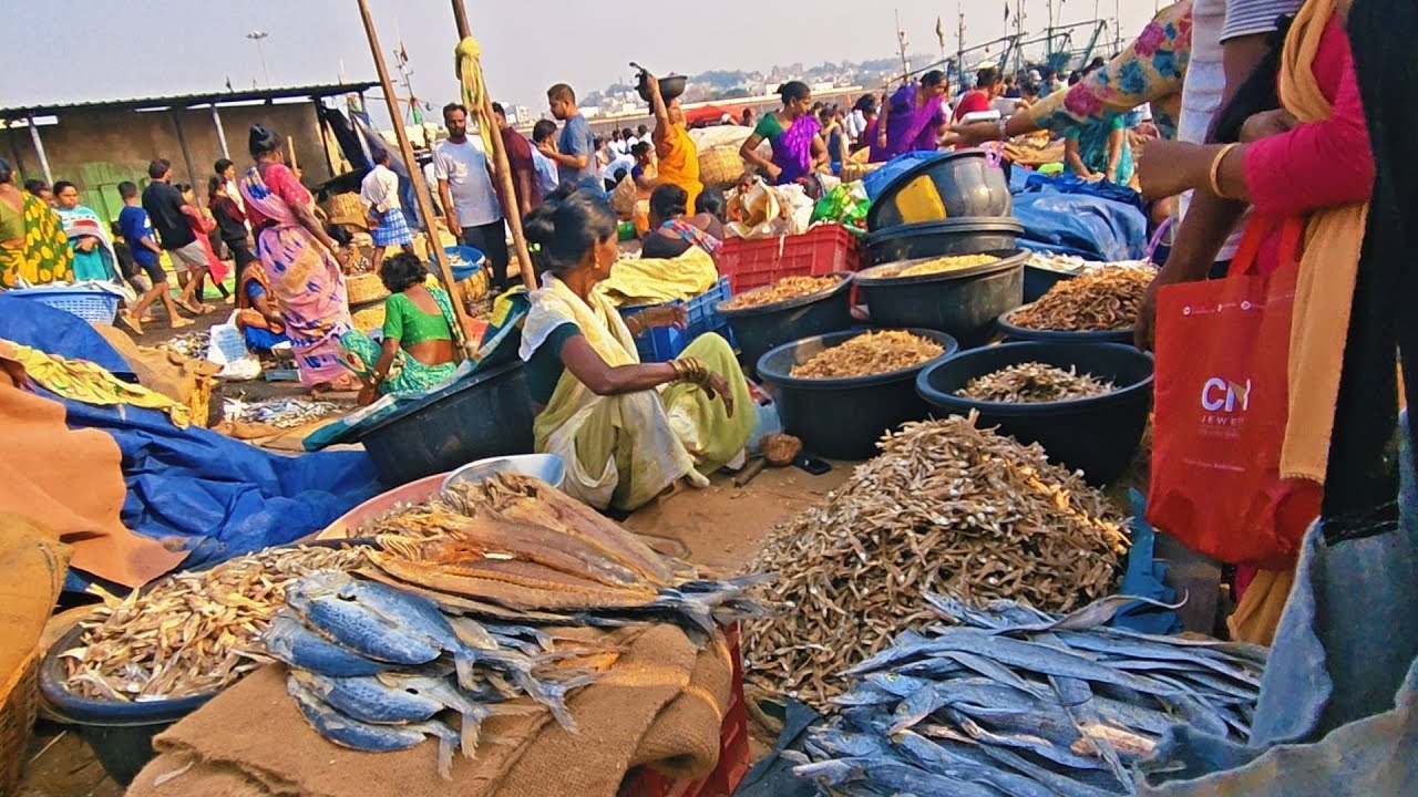 Vizag biggest fishing harbour sunday morning live market 22/02/2026