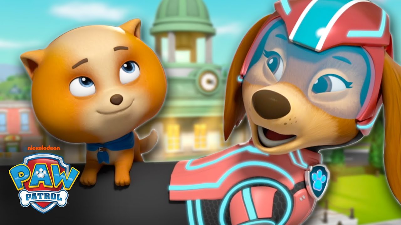 PAW Patrol Liberty Makes a Mighty Rescue! w/ Junior Patrollers & Mighty Skye | Shimmer and Shine