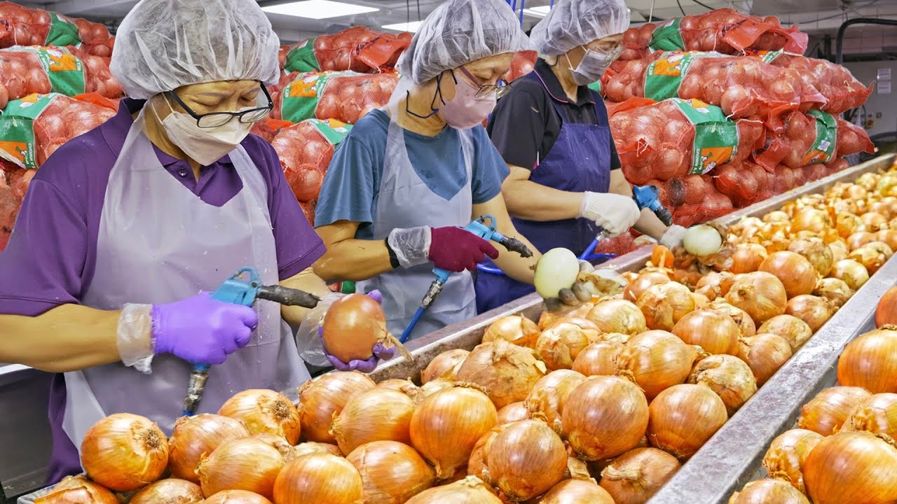 5000 KG！ Fried Onion Mass Production Factory, Onion Peeling Skills/5000公斤使用！台灣炸洋蔥絲大量生產工廠, 剝洋蔥技巧/煌輝食品