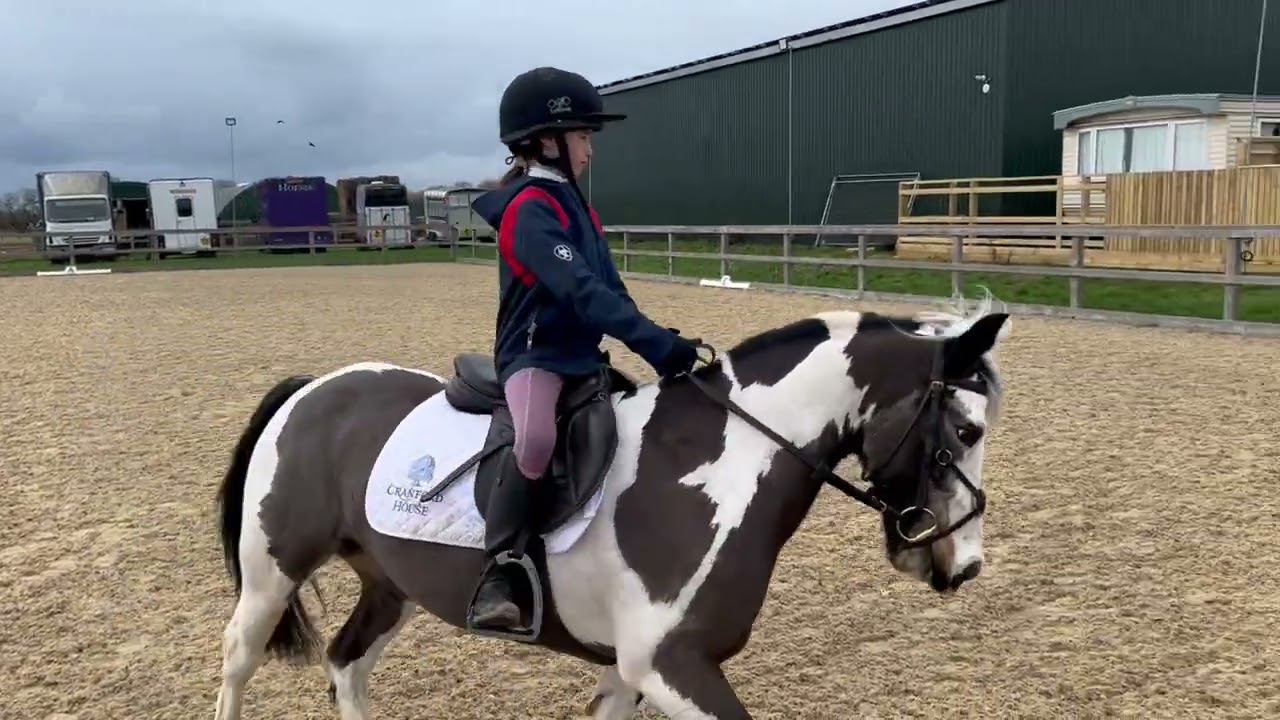 Ottilie Stone - Rosie Posie