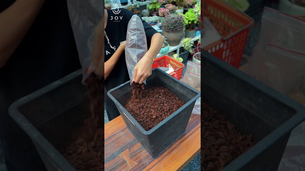 Specialized soil mix formula for succulents  // Joy Garden Succulent