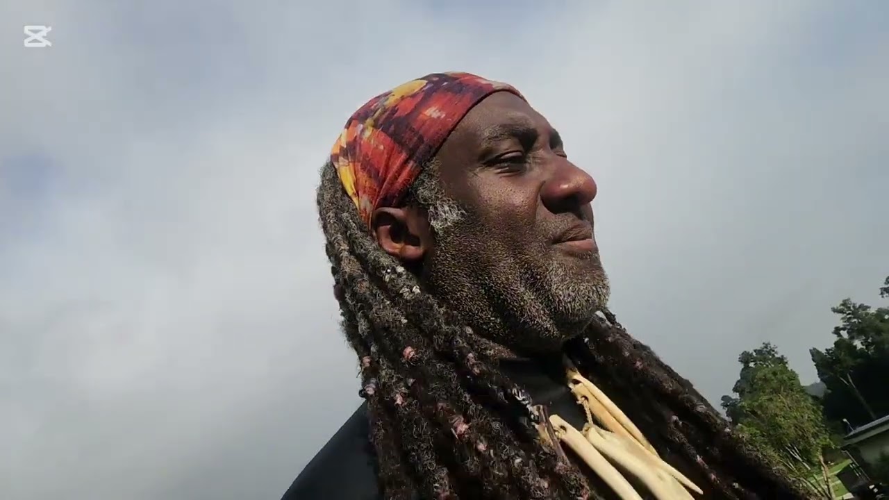 Day of Waitomo Caves