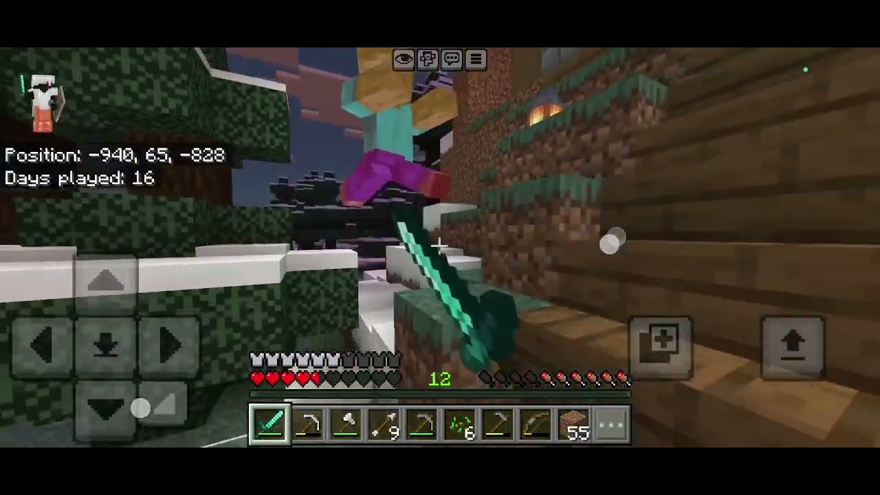 Making Wheat farm in Minecraft #4