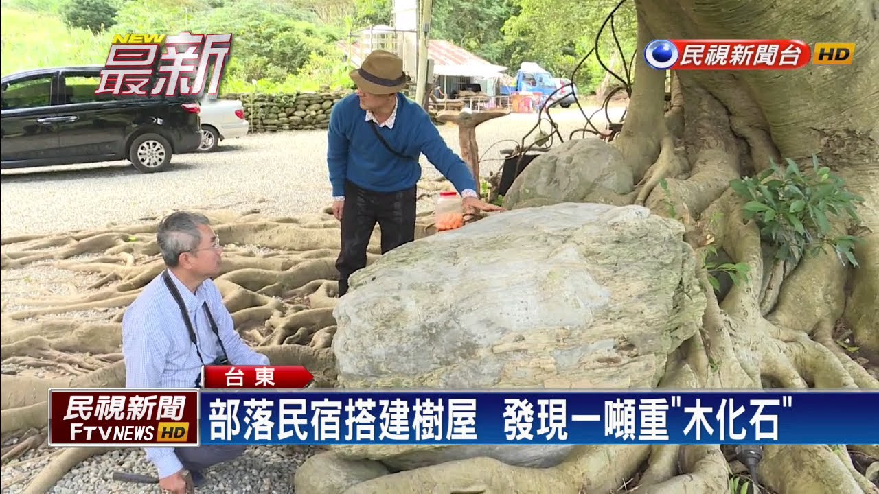 台東延平鄉上里部落  罕見「木頭化石」出土－民視新聞