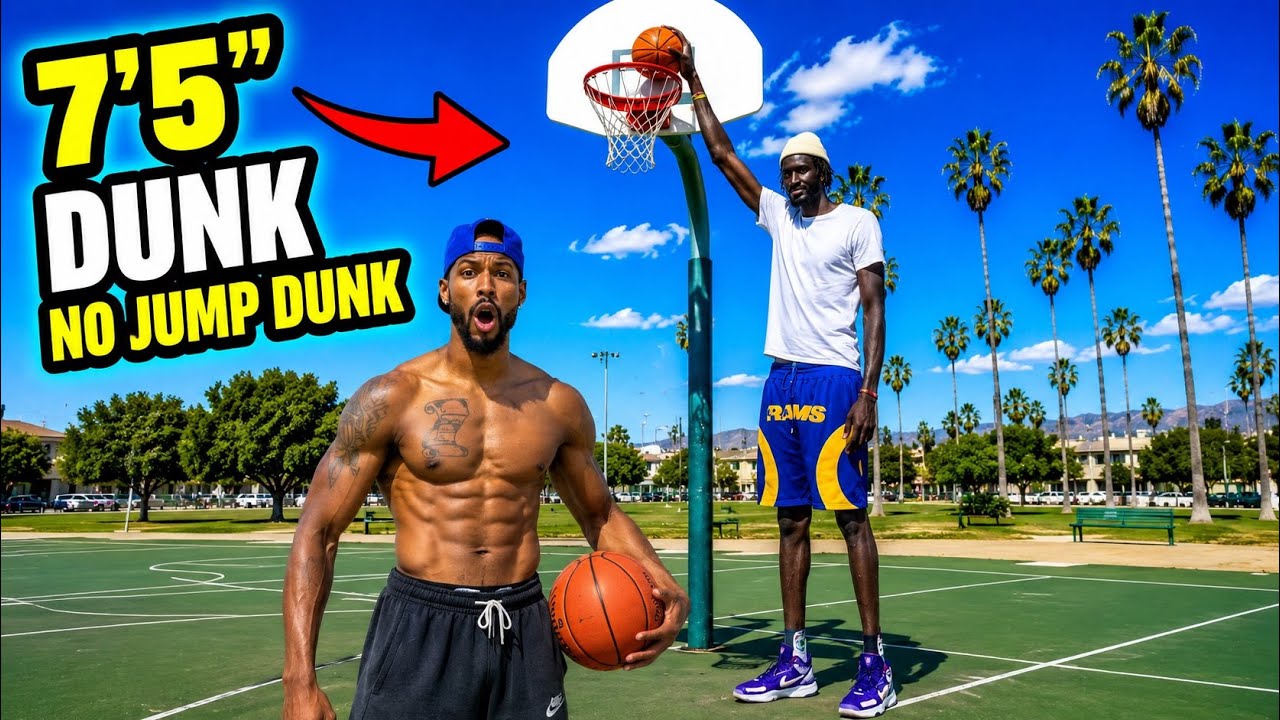 The 7’5 Giant is BACK!!!