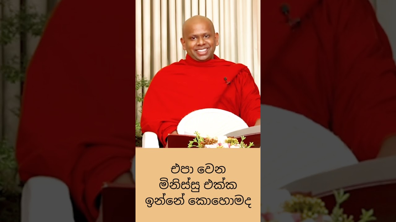 එපා වෙන මිනිස්සු එක්ක එකට ඉන්නේ කොහොමද?🥺🙏🏼