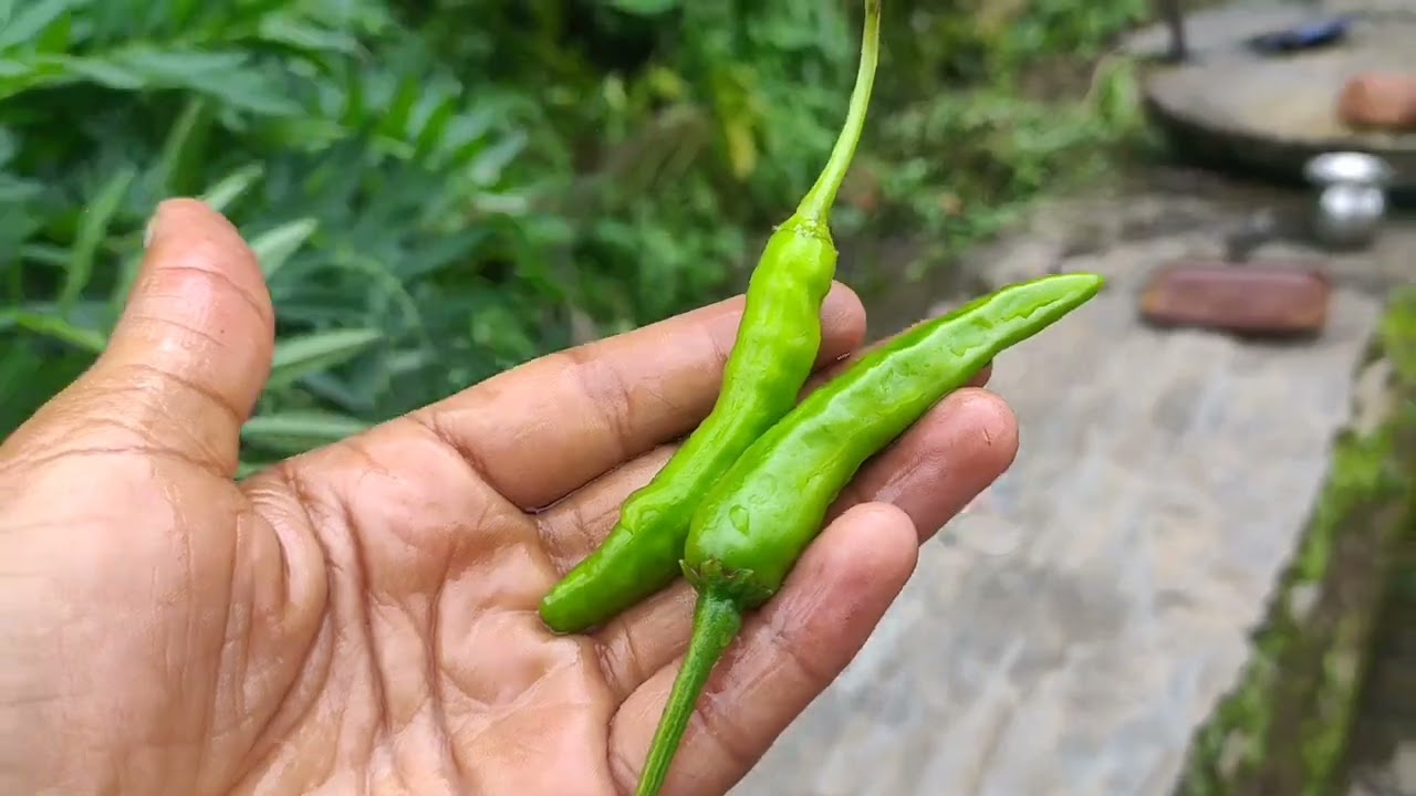 पिरु बना रही है तिल ओर टमाटर की चटनी🤤🤤🤤🤤🤤