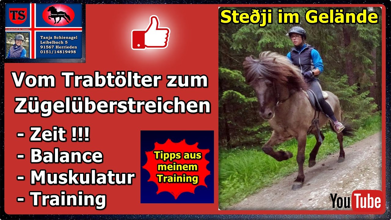 Pferdetraining Gel&auml;nde, Tipps Unterricht, Trabt&ouml;lter, Z&uuml;gel&uuml;berstreichen, Isl&auml;nder, Tanja Schienagel