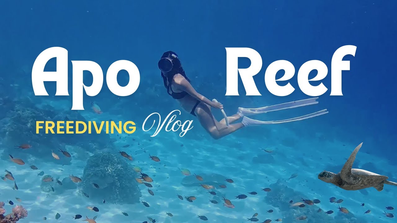 Apo Reef Natural Park Travel Vlog | Freediving Camping Sunset Watching