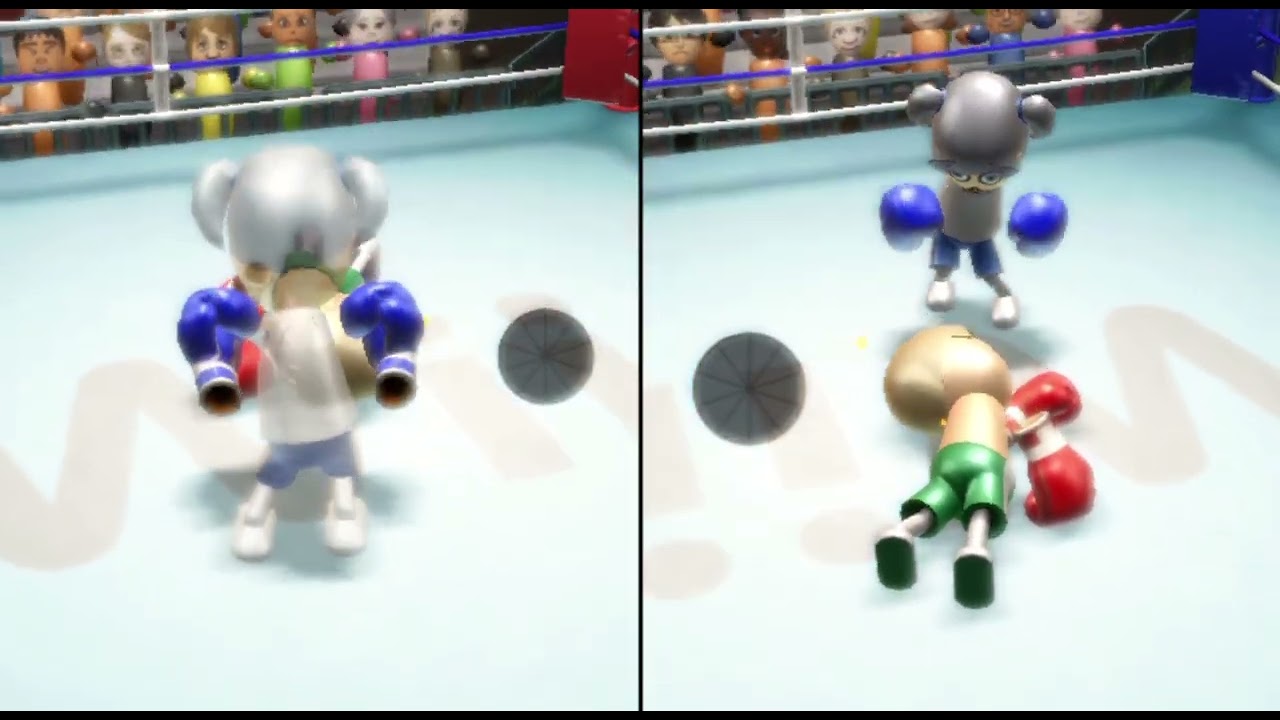 Bluey Vs. Lucky Wii Sports Boxing