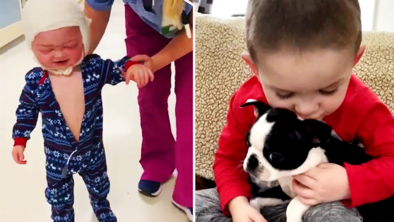 Boy Who Survived Brain Surgery Gets Puppy With Similar Needs