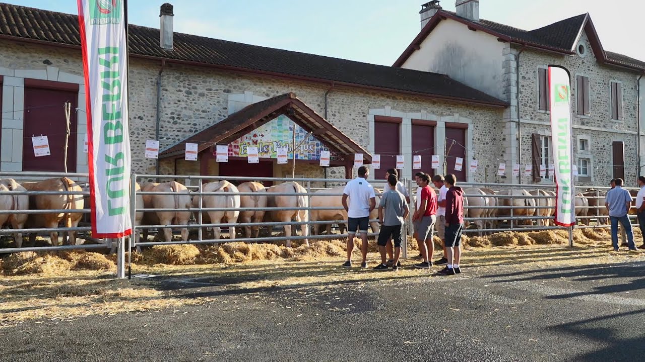 LUR BERRI - Fête de la Blonde 2019