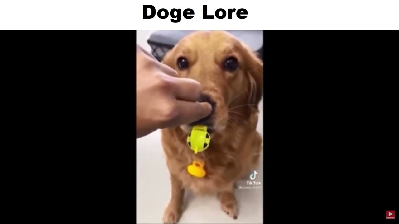 Doge Lore