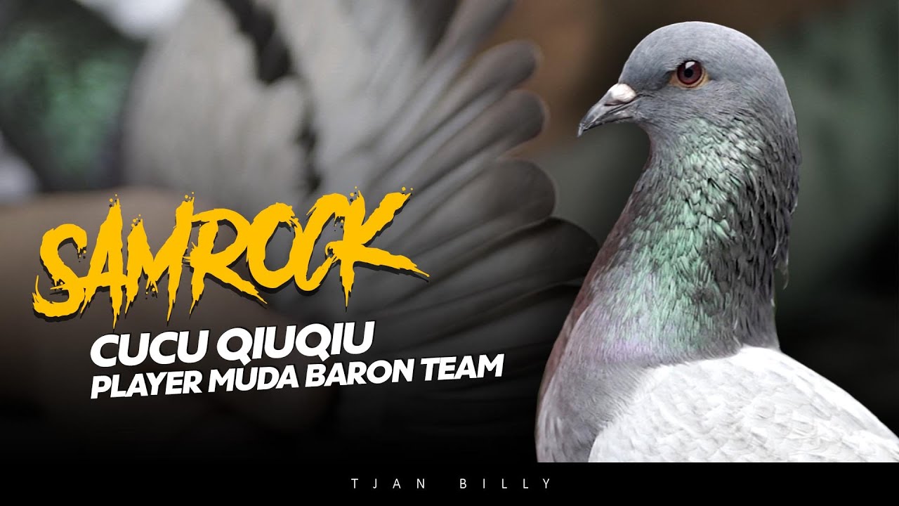 KATURANGGAN MERPATI PLAYER MUDA BARON TEAM