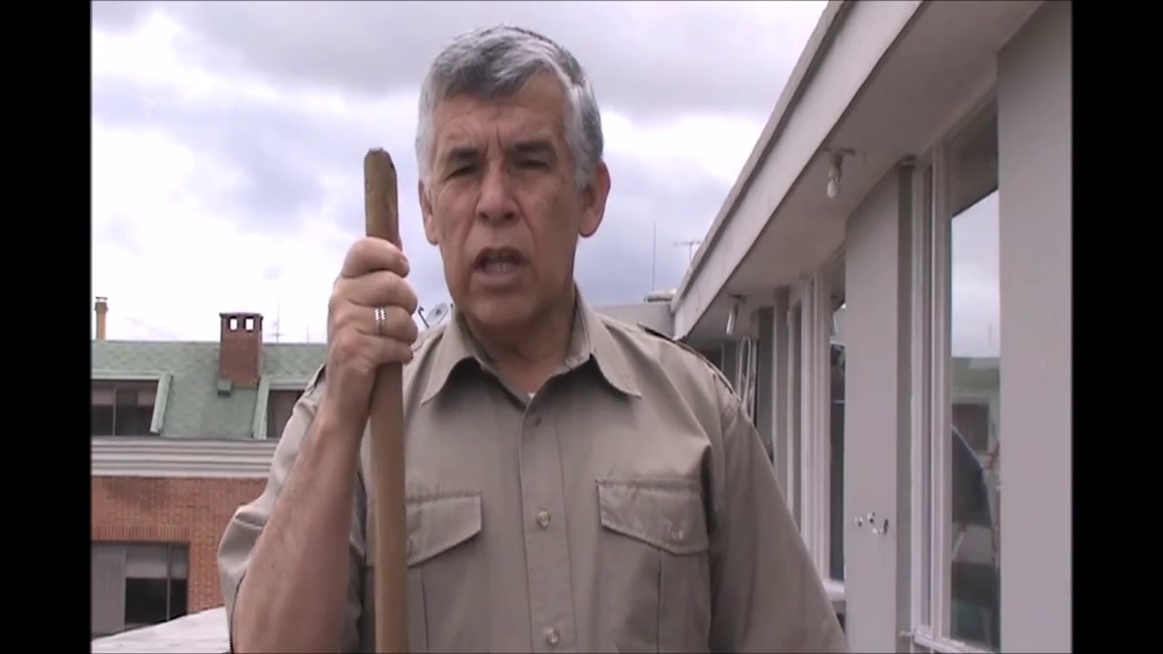 bordon HD
