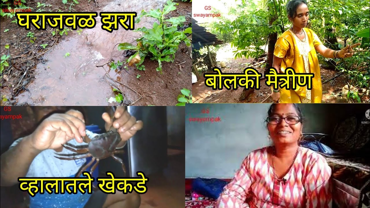 कोकणात मुसळधार पाऊस.भोप्याने आणले खेकडे  #Talere@SFORSATISH @goshtakokanatli @ShubhangiKeer