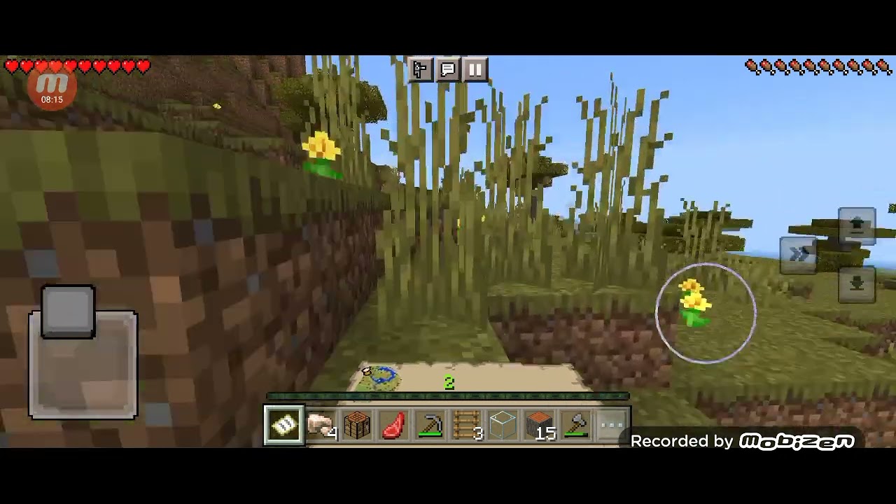 سلسله مين كرفت