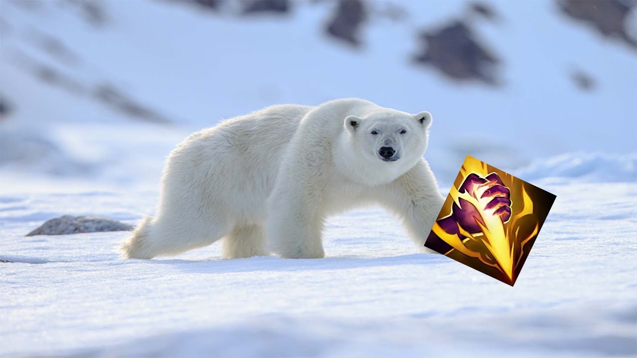 VOLIBEAR GANKEOS LETALES | Intentando SALIR DE BRONCE *52