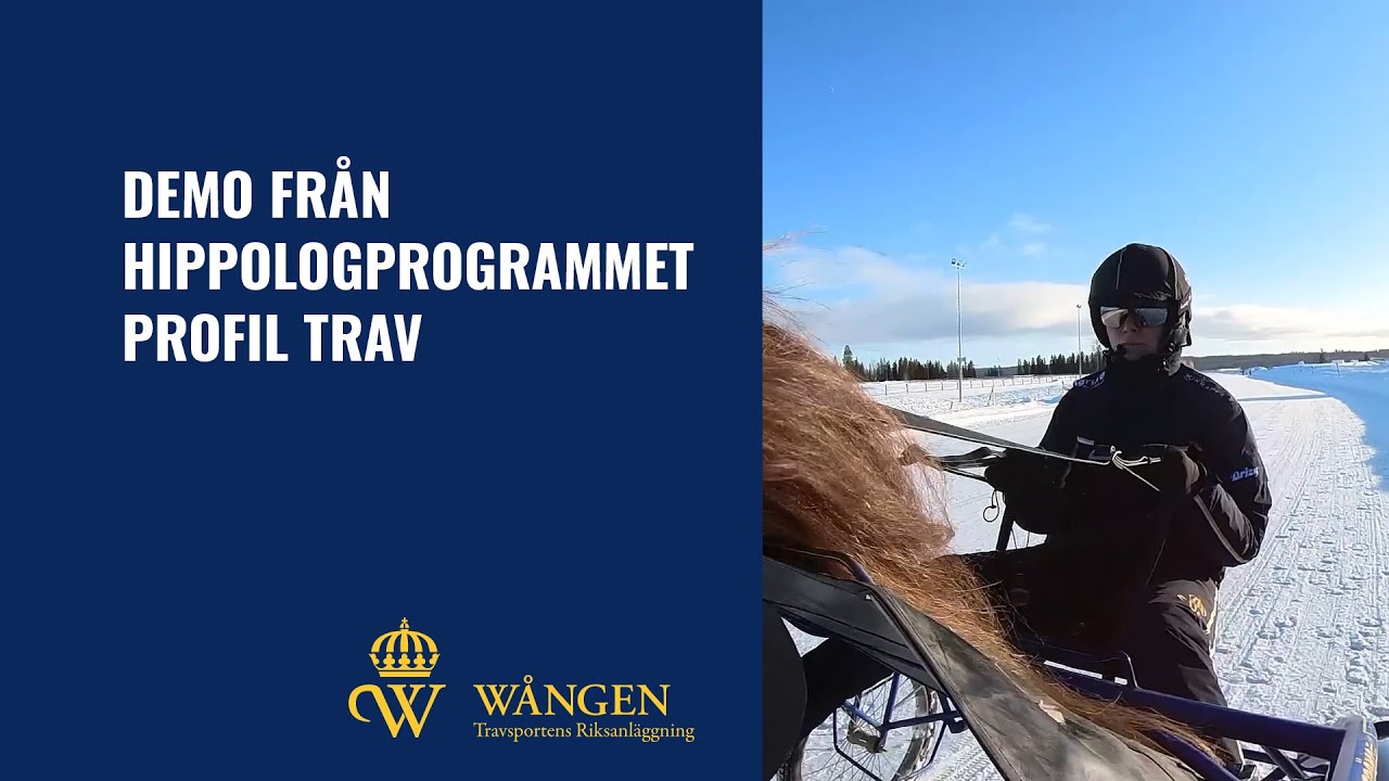Demo från Hippologprogrammet live