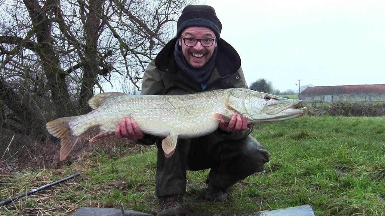 Another Monster Pike From The Bristol Avon!