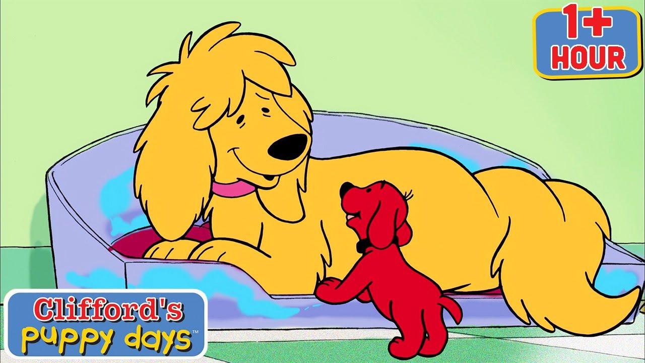 Have Respect | Lessons for Kids | Season 1 | Full Episodes | Clifford's Puppy Days