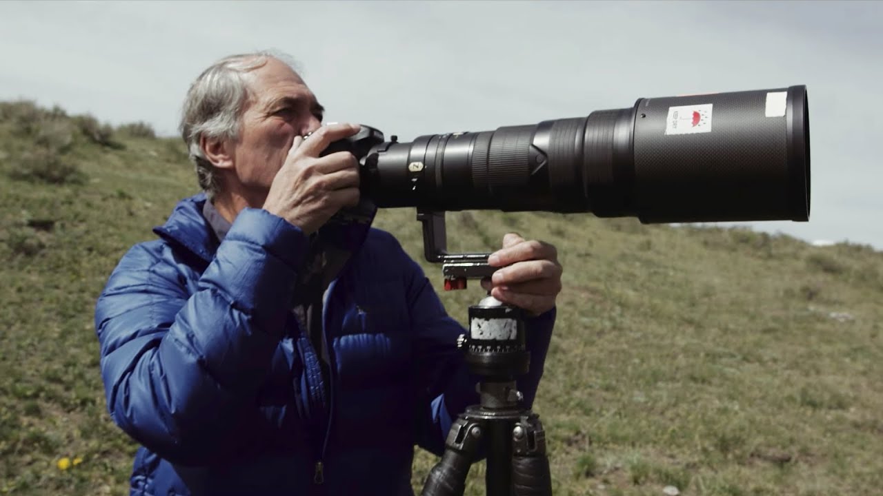 No Assignment: Yellowstone's Unofficial Photographer