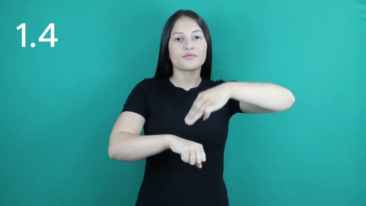 EDITAL MESTRADO - PARTE 1 (LIBRAS)