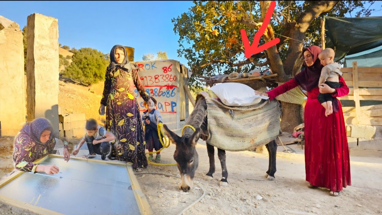 Nomadic life: 🐎Khair's wife helping Ashraf and building a house 🏠 by Ashraf