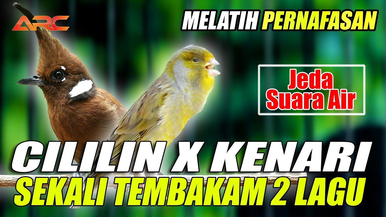 CILILIN X KENARI | MASTERAN SATU NAFAS 2 LAGU _ JEDA SUARA AIR AUDIO SUPER JERNIH