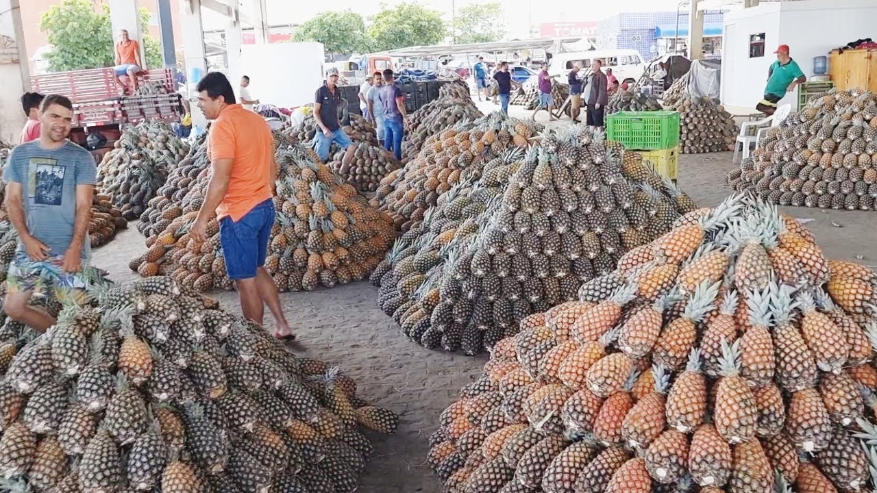 A CEACA DE CARUARU-PE É SÓ FARTURA! MERCADORIAS DE R$1,00. FRUTAS, VERDURAS. ISTO É NORDESTE!!!