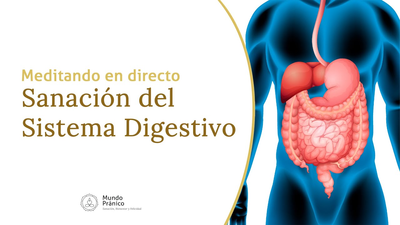 Sanaci&oacute;n del Sistema Digestivo &middot; Meditaci&oacute;n en DIRECTO con Mundo Pr&aacute;nico