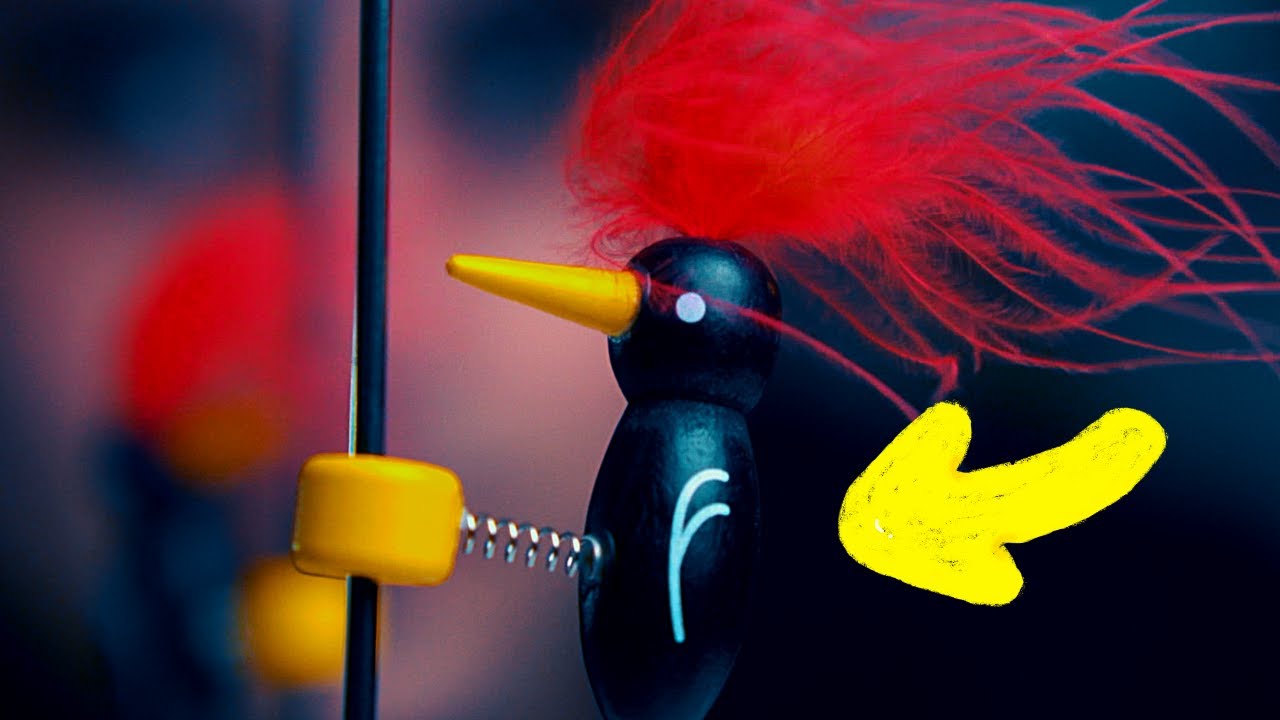 🐤 نقار الخشب العبقري 🐧
