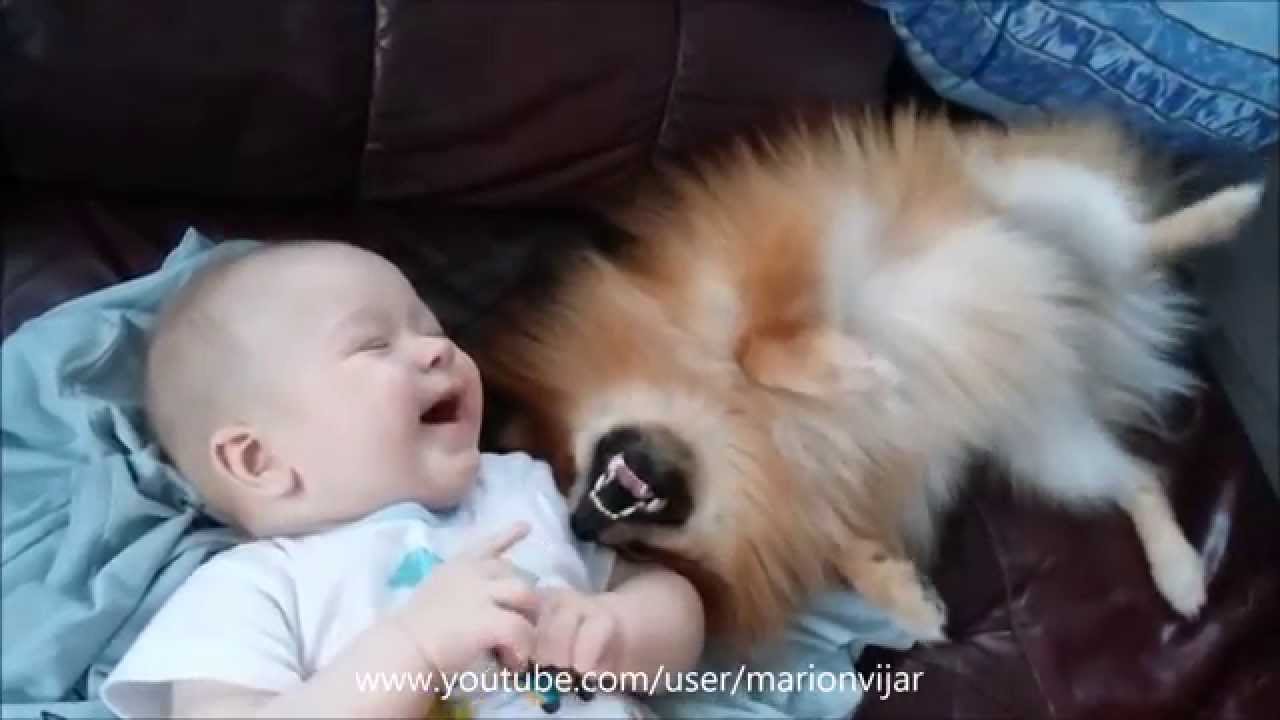 5 months old baby playing with pomeranian puppy