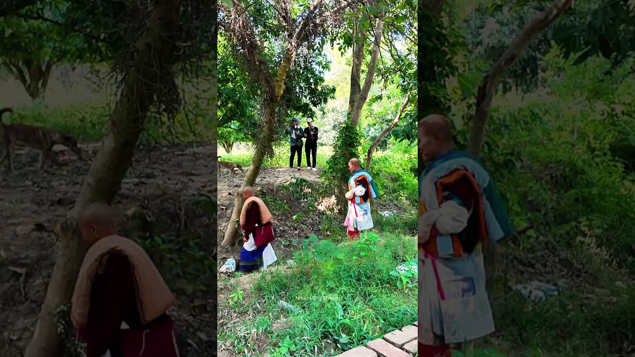 THẦY MINH TUỆ MỚI NHẤT 18/10 #nhunlangthang #nepal #india #thichchantinh #thayminhtue #minhtue