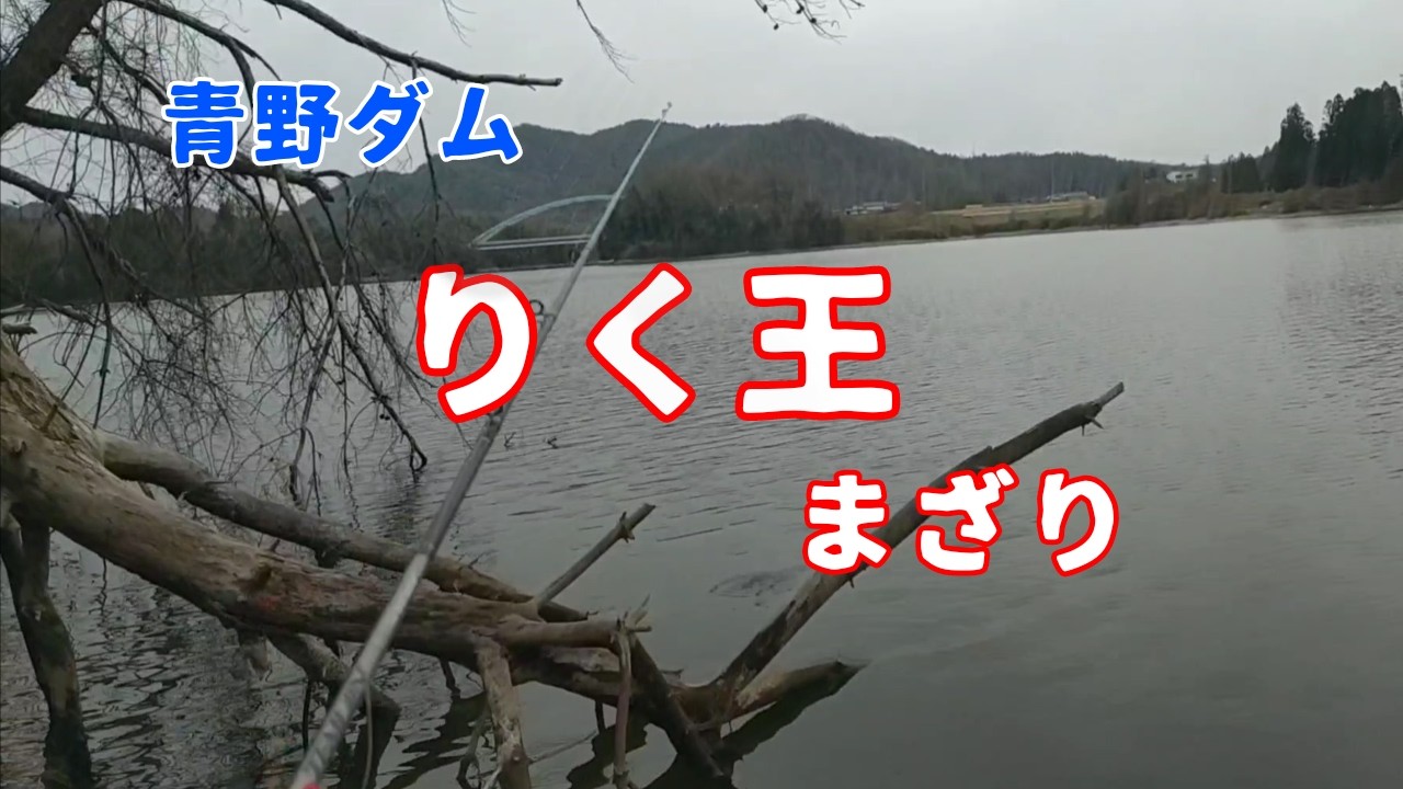 【青野ダム】最強プロもバス釣りに来る湖