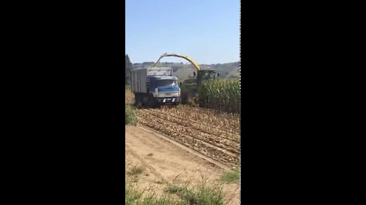 Raccolta Mais Ceroso x BioGas