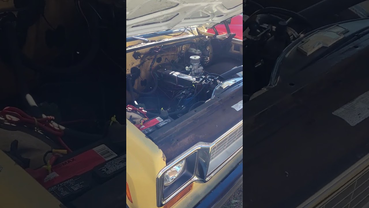 1974 Chevrolet Custom 10, 250 (4.1L) Inline 6, 2bbl carburetor