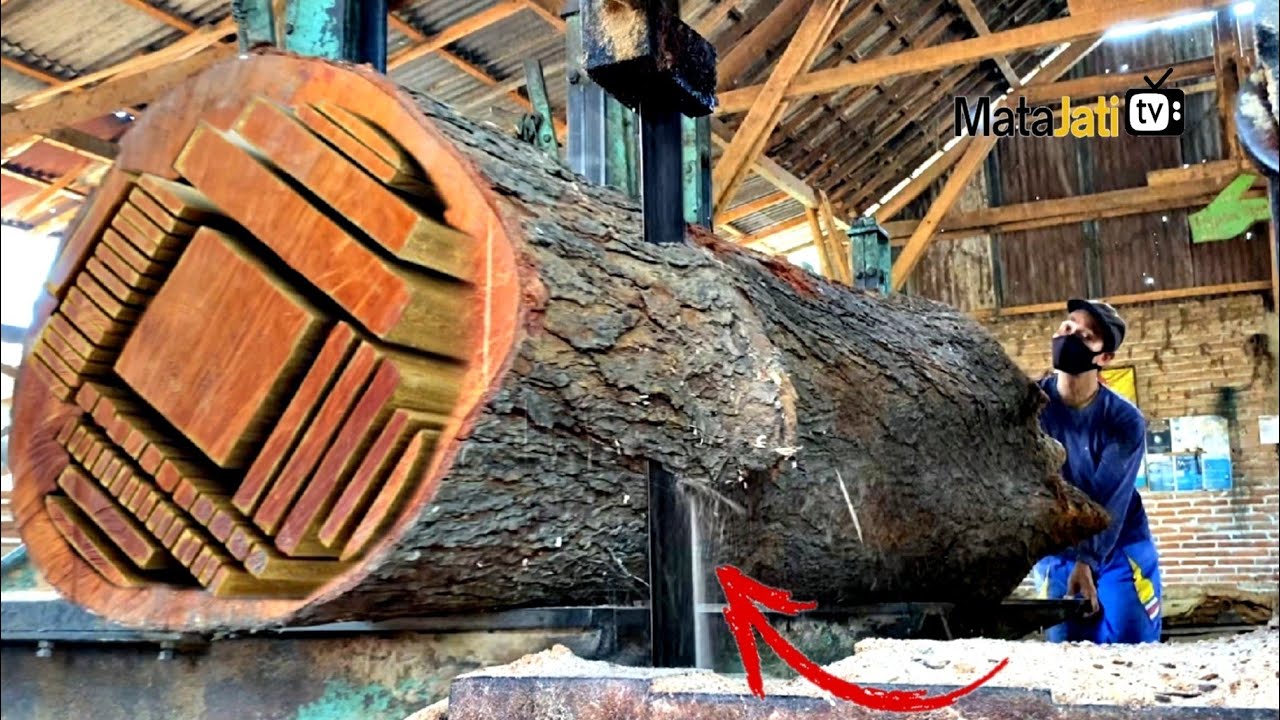Mahogany Wood: The Secret to Identifying It in 30 Seconds