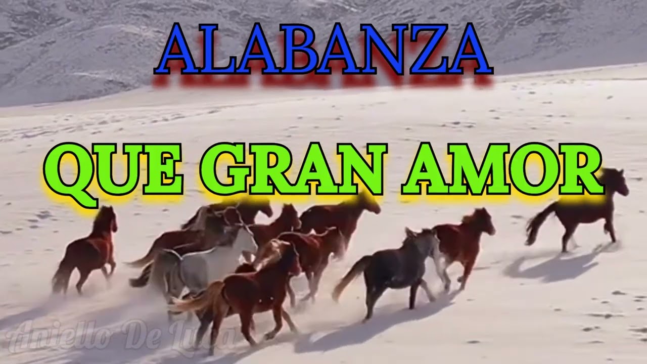 QUE GRAN AMOR, ALABANZA #musica #music #alabanzaadoracion #conciertoscristianos