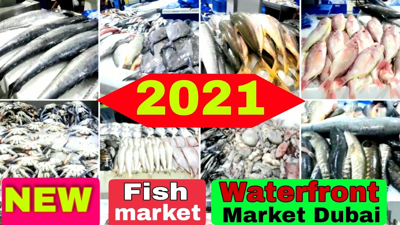 Fish market Dubai|waterfront market, deira,dubai-2021.world largest fish market