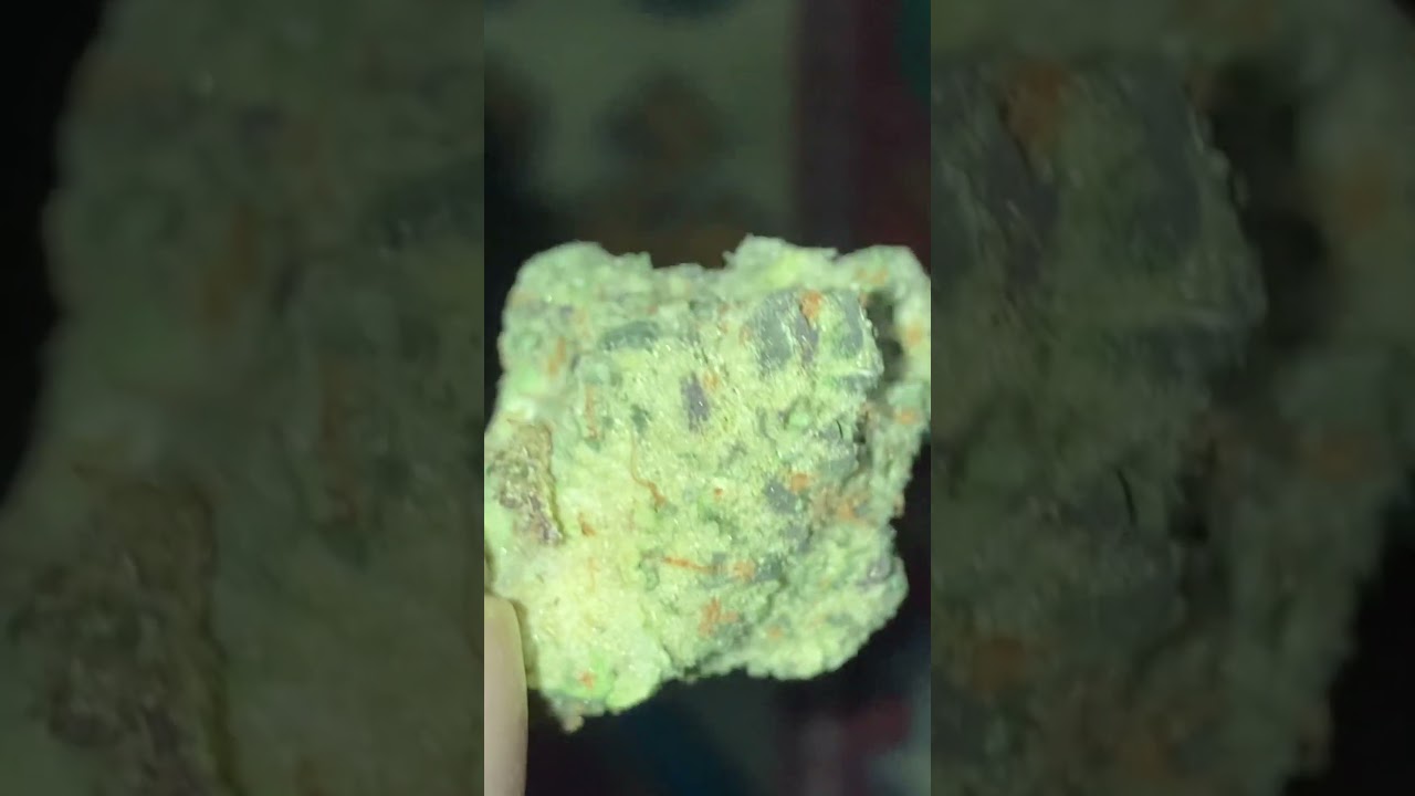Weed Thailand 420 Fatbuds Ekkamai crazy closeup 5280 strain 17/6/2025 #420 #buds #strainreviews