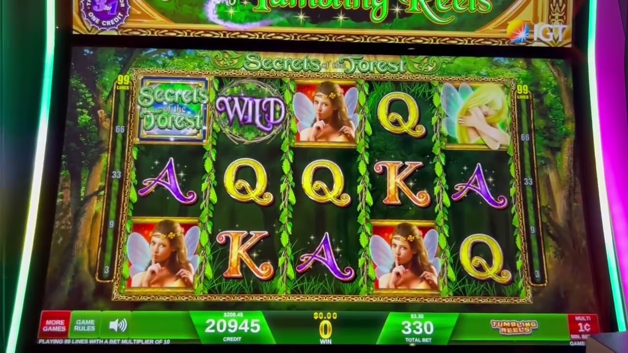 NICE BONUS ON SECRETS OF THE FOREST SLOT MACHINE!!!