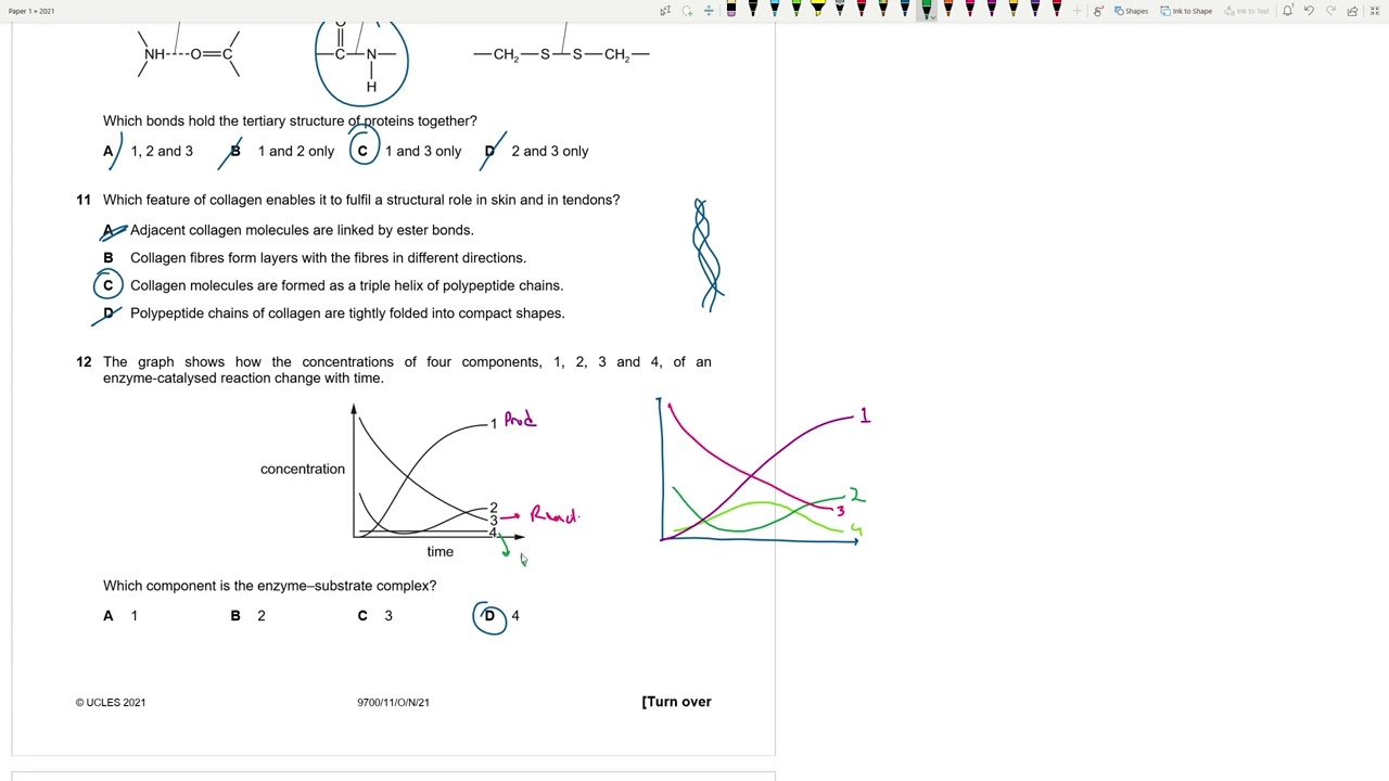 9700/11/O/N/21 | AS LEVEL BIOLOGY 9700 PAPER 1 | OCTOBER/NOVEMBER 2021 | PAPER 11 | SOLVED