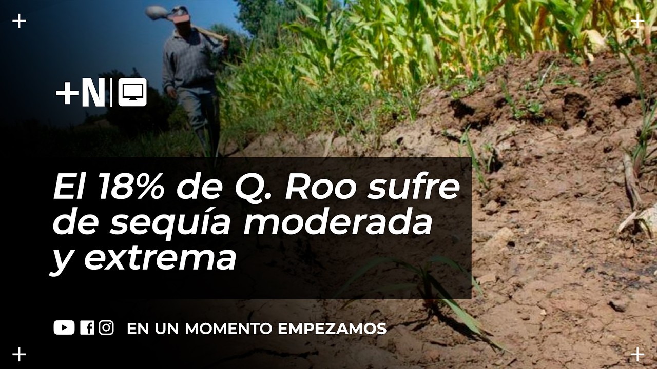 El 18% de Q. Roo padece de sequía moderada y extrema I En Vivo con +Novedades📹