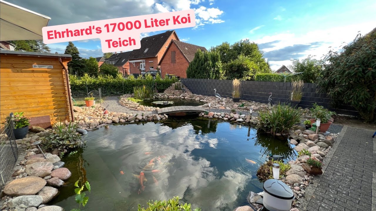 Ehrhard‘s Start ins Koi Hobby. Sein gepumpter 17000 Liter Koi Teich!